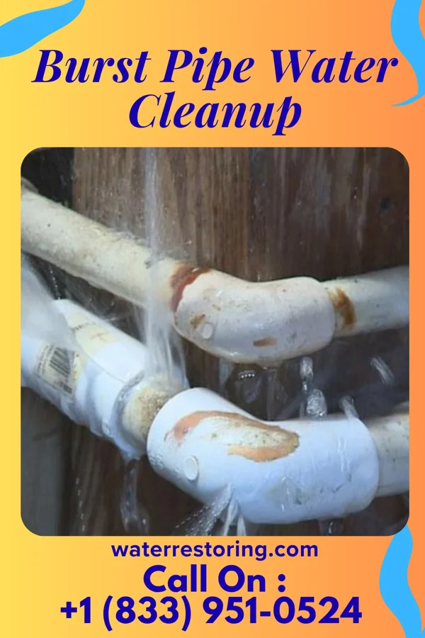 Burst Pipe Water Cleanup in Penn Lake Park, PA
